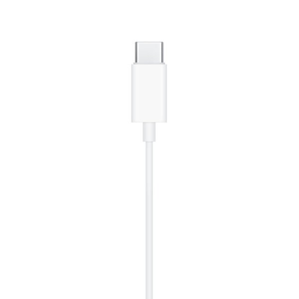 i763 Apple Original USB-C EarPods (used)