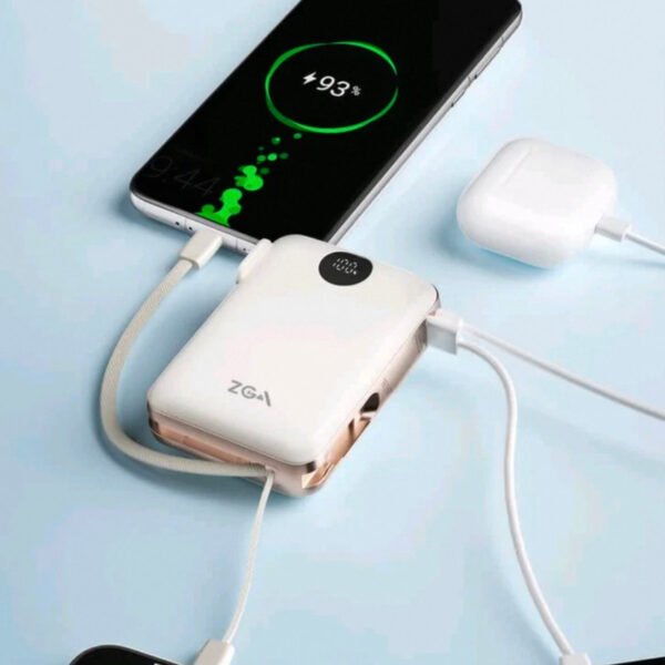 6C3F6B88-B15B-4588-B88A-62EE8CC2D767.jpg DY25 2in1 plug pins PowerBank