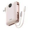 C091A9CC-63DB-4079-A9EF-2D47CAB99162.jpg DY25 2in1 plug pins PowerBank