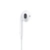 i763 Apple Original USB-C EarPods (used)