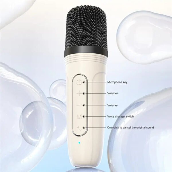 D43 Karaoke Machine for Adults Kids