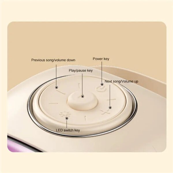 D43 Karaoke Machine for Adults Kids