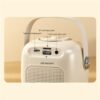 D43 Karaoke Machine for Adults Kids