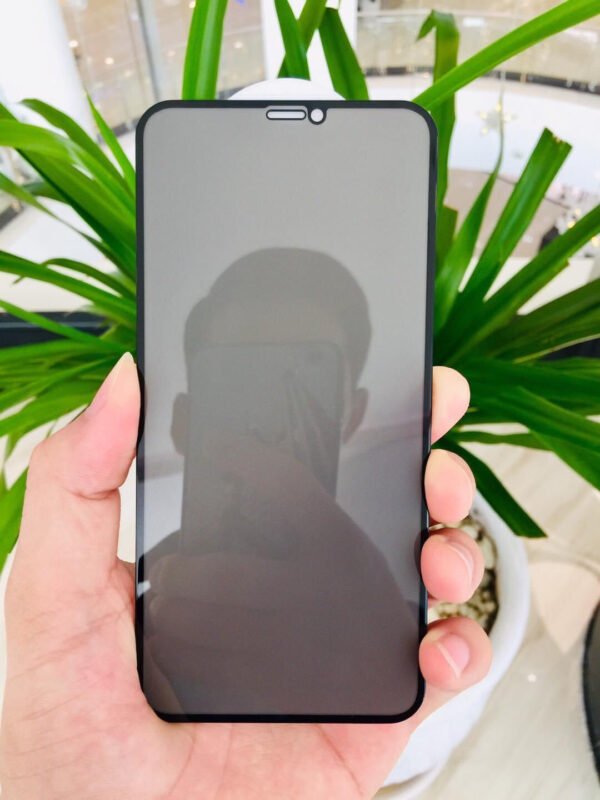 i319P Japan Temper Glass Private for iPhone