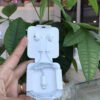 i768 Apple Lightning EarPods Original (used)
