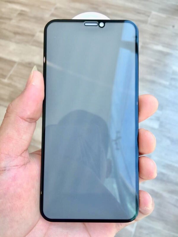 i319P Japan Temper Glass Private for iPhone