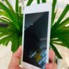 WTP-019 Elephant 6D Privacy Screen Protector
